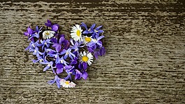 花的心,面朝大海 春暖花開,心臟