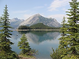 加拿大,樹,湖
