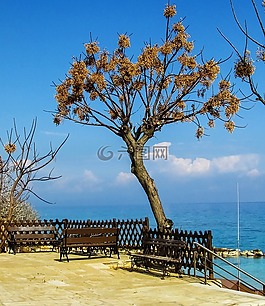 塞浦路斯,protaras,无花果树湾