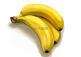 香蕉,黃色,性質(zhì)
