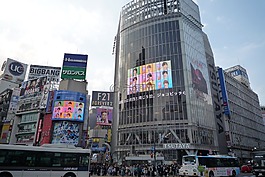 日本,城市,院