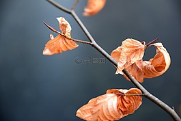 性質(zhì),工作表,戶外