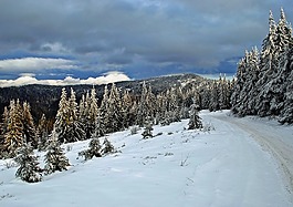 冬季,方式,雪