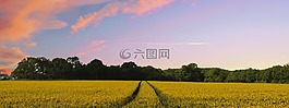 農(nóng)村,景區(qū),旗幟