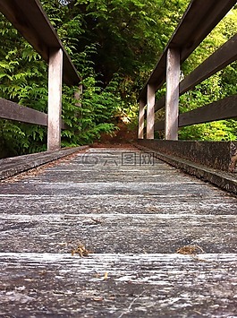 橋,路徑,綠色