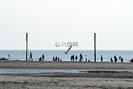 背光,海灘,沙灘