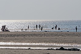 背光,海灘,沙灘
