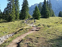 阿爾高,山,景觀