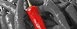 辣椒,胡椒,旗幟