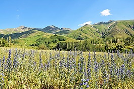 土耳其,kaçkars,景观