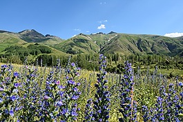 土耳其,kaçkars,景观