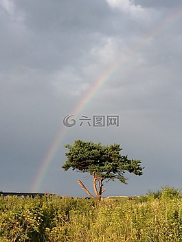彩虹,天气,云