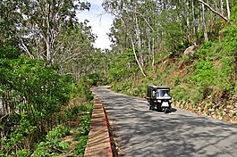 山道,自动人力车,楠迪山