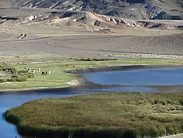 湖,性質(zhì),水