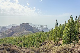 大加那利,加那利群島,山