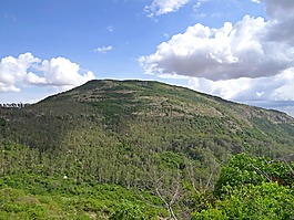 楠迪山,森林,德干高原