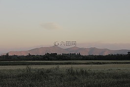 公园,字段,打开空气