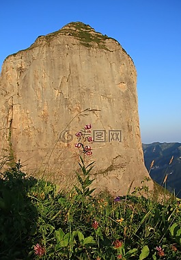 日出,morgenrot,太陽