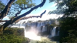 旅行,大瀑布,樹