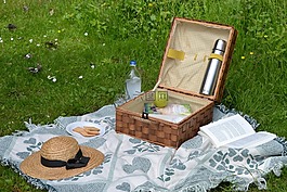野餐,書,夏天