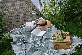 野餐,書,公園