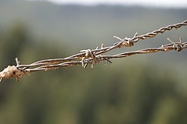 鐵絲網(wǎng),沒有通行證,籬笆