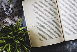 書,閱讀,愛好