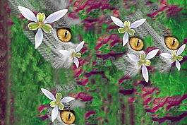 顏色,貓,花