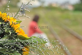 花束,鮮花,花的