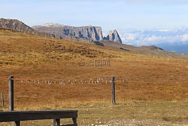 草地,山,查看