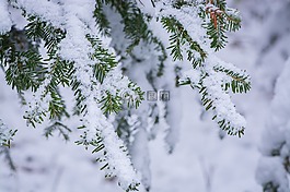 冬天,寒冬,冬季時(shí)間