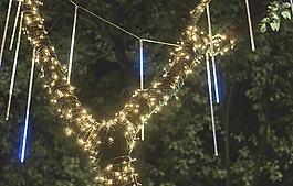 光,樹(shù),夜