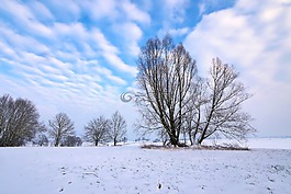 冬天,雪,弗羅斯特