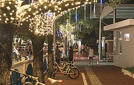 光,樹,夜