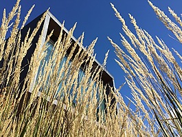 建設(shè),里德,全景圖
