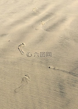 沙,脚印,夏天