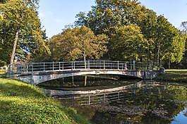 橋,水,通道