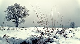 冬天,雪,性质