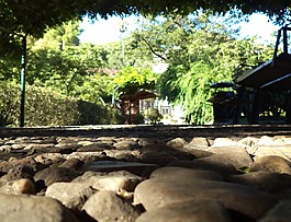 石頭,花園,植被