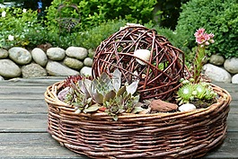 花園,德卡,外殼