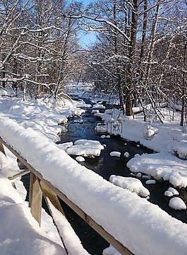 冬天,雪,冷