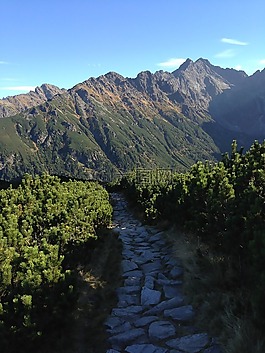 冬奧會(huì),山,線索