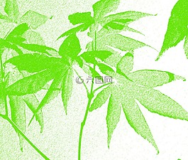 宏碁,綠色,葉子