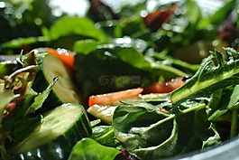 沙拉,蔬菜,健康