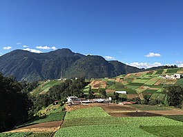 sirmbra,景观,果园