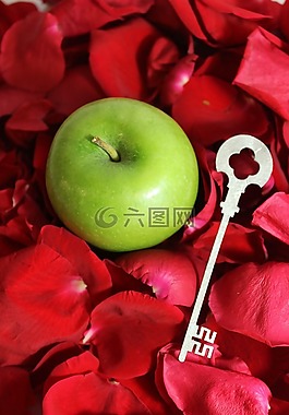 蘋果公司,綠色,密鑰