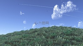 天空,草,軌跡