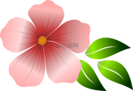 花,粉紅色的花,春