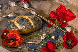 糕点,滚,mohnbrötchen