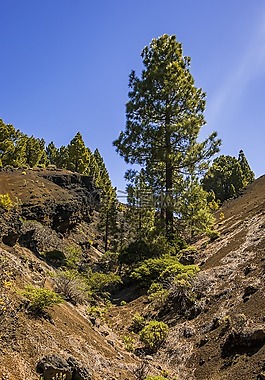 火山,加那利群島,西班牙